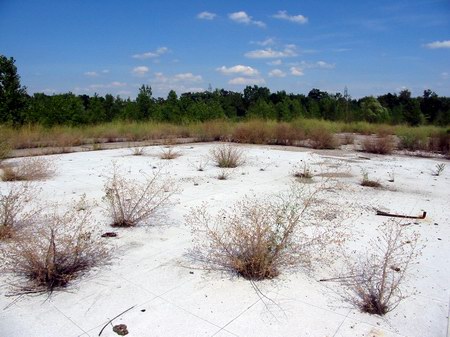 Cascade Drive-In Theatre - Foundation Of Concession - Photo From Water Winter Wonderland (newer photo)
